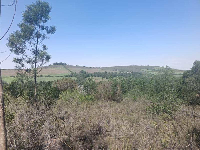 0 Bedroom Property for Sale in Albertinia Western Cape